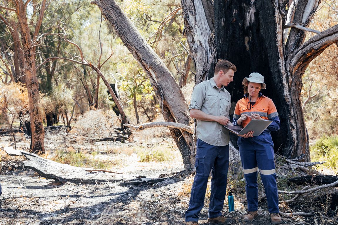 Analysing COVID-19 and Bushfire Impacts in LGAs (NSW)